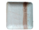 Areca 8 inch square