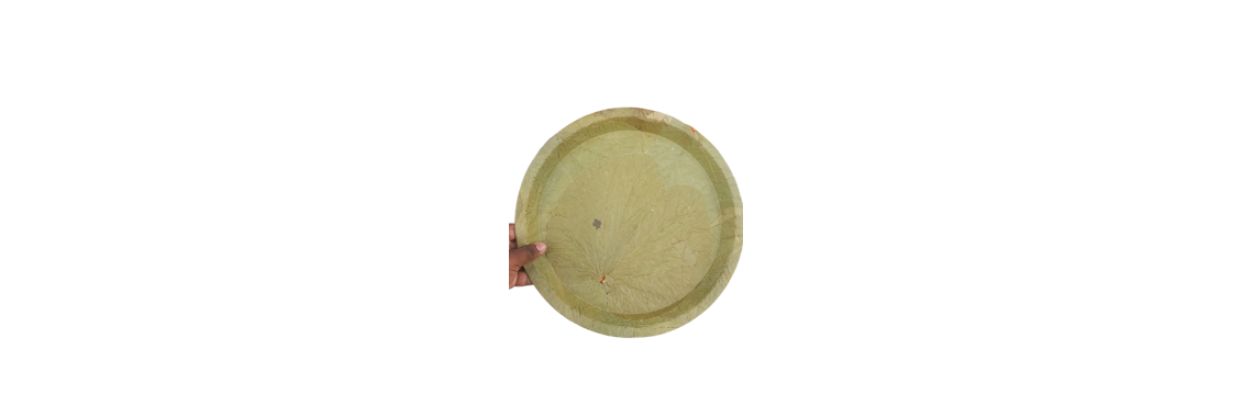Siali Leaf Plates 